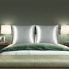 PiccoCasa Skin Luxurious Zipper Closure Satin Pillowcases 2 Pcs - 2 of 4