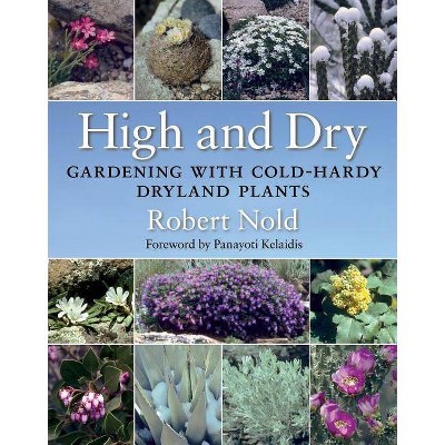 High and Dry - by  Robert Nold (Paperback)