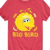 Boys' - Sesame Street - Big Bird Face Short Sleeve Graphic T-Shirt - 2 of 4