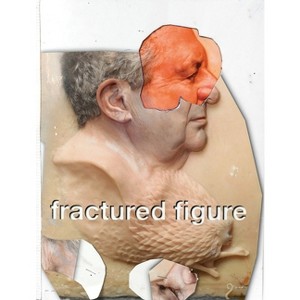 Fractured Figure, Volume I - (Paperback) - 1 of 1
