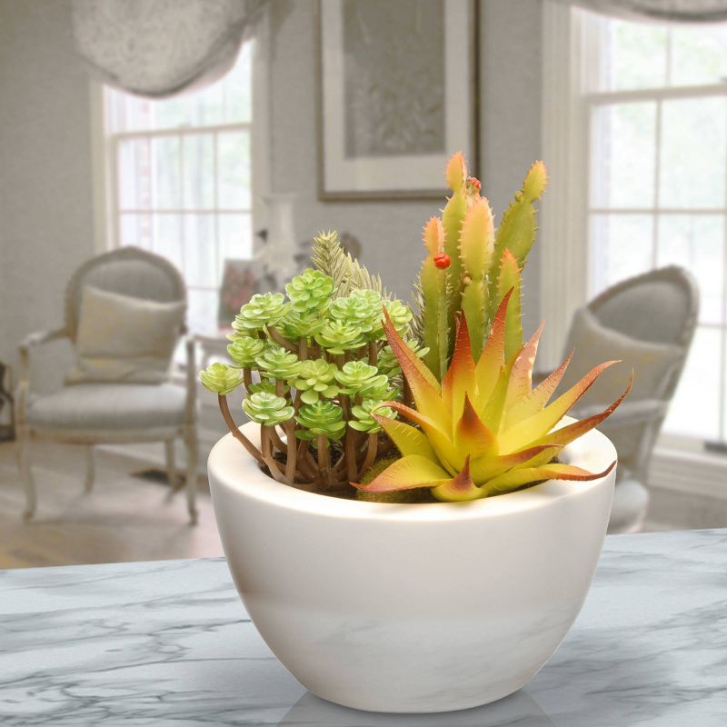 Artificial Succulent Plants 7.5&#34; - National Tree Company, 3 of 7