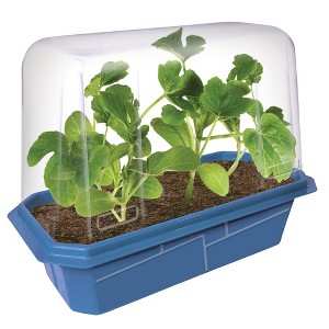 Unique Gardener Beafsteak Tomatoes - 1 of 1