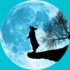 Men's Design By Humans Moon Bunny By Maryedenoa T-Shirt - 2 of 3