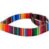 Country Brook Petz Martingale Dog Collar Country and Western Collection - 3 of 4