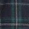 green & black plaid