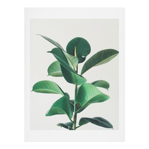 Cassia Beck Rubber Fig Art Print - Society6 - 1 of 1