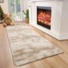 Modern Fluffy Area Rugs for Bedroom Living Room, Plush Soft Thick Fuzzy Shaggy Carpet for Kids Nursery Dorm - 4 of 4