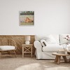 Stupell Industries Foal Horse Lounging Flower Meadow, 24" x 24" - 2 of 4