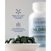 BioOptimal Organic Chlorella Tablets 1 Pack - Organic | Kosher | High Potency, Pure Chlorella raw superfood, Broken Cell Wall | High in Protein, no - 4 of 4