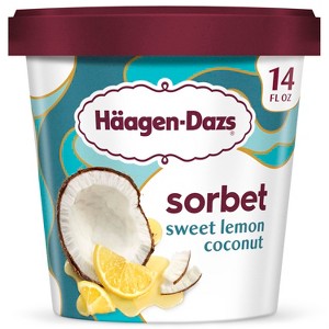 Haagen-Dazs Frozen Sweet Lemon Coconut Sorbet - 14 fl oz - 1 of 4