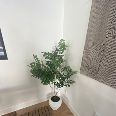 Guest review image 3 of 4, zoom in