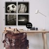 Stupell Industries Sports Balls Photography, 17" x 17" (Set of 4) - 3 of 4