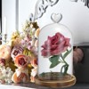 Unique Bargains Wooden Base Home Tabletop Decor Glass Bell Jar Display Cases - 4 of 4