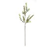Variegated Red Berry Foliage Spray (Set of 6) - 3 of 3