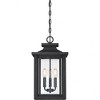 Quoizel Lighting Wakefield 3 - Light Pendant in  Earth Black - 4 of 4
