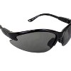 2 Pairs of Birdz Eyewear Flamingo Safety Glasses - 3 of 4