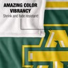 Arkansas Tech University Primary Logo Stripes Silky 50x60 Blanket, 1 Sided 50x60 - 4 of 4