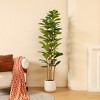 Kazeila Artificial Fiddle Leaf Fig Tree with Realistic Leaves and Natural Trunk, Silk Faux Potted Tree - 2 of 4