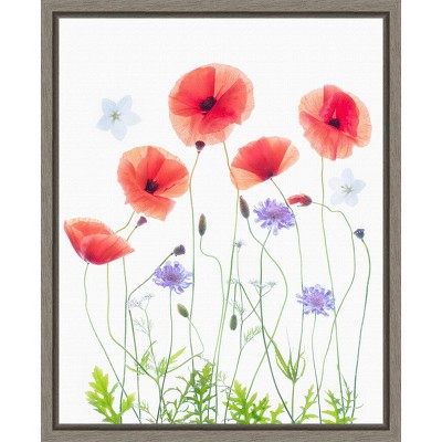 Amanti Art Poppy Garden by Sharon Williams Canvas Wall Art Print Framed 16 x 20-in.
