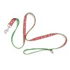 The Worthy Dog Summer Cheer Pet Leash - 2 of 3