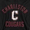 College of Charleston Official Cougars Logo Adult Pull-Over Hoodie - 2 of 4