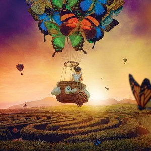 Toynk Windsome Wanderer Butterfly Puzzle By Tara Lesher | 500 Piece Jigsaw Puzzle - 1 of 4