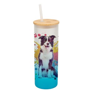 100 North 25 Ounce Frosted Glass Gradient Travel Tumbler With Straw & Wooden Lid, Border Collie Dog Paint Splatter Sky Blue - 1 of 4