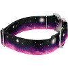 Country Brook Petz HossFit Jr Wide Premium Dog Collar - Geek Chic Collection - 3 of 4