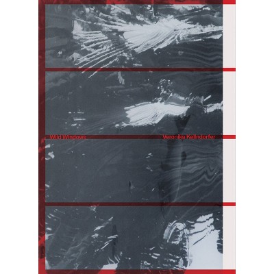 Veronika Kellndorfer: Wild Windows - (Paperback)