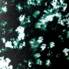 green abstract texture