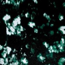 green abstract texture