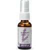 Liddell Homeopathic Weight Loss XL Oral Spray 1 Oz Natural Homeopathic Formula to Support Appetite, Metabolism & Weight Goals - 3 of 4