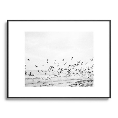 Raisazwart Seagulls Coastal 18