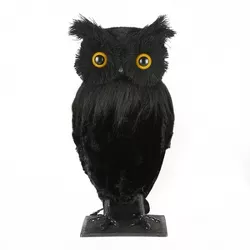 11" Eerie Eyes Owl