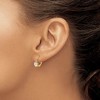 Black Bow Jewelry Kids Clear Cubic Zirconia Heart Lever Back Earrings in 14k Yellow Gold - 3 of 4