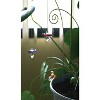 Woodstock Crystal Suncatchers  Crystal Guardian Angel Sapphire  Crystal Wind Chimes For Inside  Office  Kitchen  Living Room DÃƒÂ©cor  1"L - 2 of 4