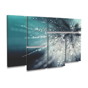 Trademark Fine Art-Beata Czyzowska Young 'Morning Sonata' - Backlit LED Lightbox with Metal Frame - Ready to Hang with Anti-Glare Acrylic Cover - 1 of 3