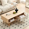 Vynxaria Multi colors Rattan Coffee Tables - 41" Sliding Door Storage Modern Living Room Table - 3 of 4