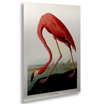 Trademark Fine Art - John James Audubon 'American Flamingo' Floating Brushed Aluminum Art