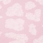 pink animal
