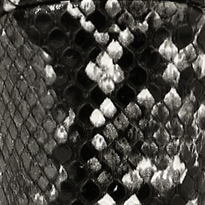 black snakeskin