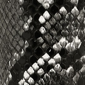 black snakeskin