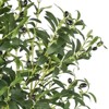 MaseiKar Artificial Olive Tree, 7.2ft Tall Fake Floor Plant with Plastic Pot for Office/Home Decor, Decorative Artificial Plant for Indoors /Outdoors - 3 of 4