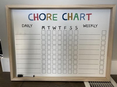 Chore Chart, Daily Planner & 6 Vibrant Markers – ModerNeat