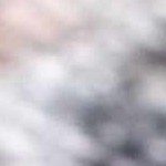 peach, ivory, black, pale blue, medium gray