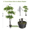 Garvee 5/6FT Faux Black Olive Tree,Fake Olive Tree Artificial Tree with Lights,Faux Trees Indoor with Black Planter and Realistic Leaves for Home - 4 of 4