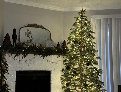 Guest review image 1 of 1, zoom in