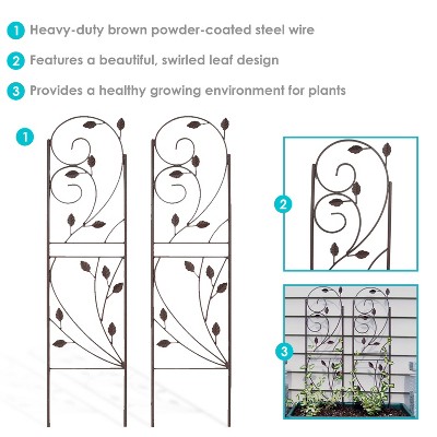 Rustic Brown Metal Garden Trellis Set for Climbing Plants