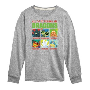 Boys' - How to Train Your Dragon - All My Friends Are Dragons Long Sleeve Graphic T-Shirt - 1 of 4