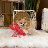 Pavilion Gift Company - Claw-some - 12" Canvas Dog Toy with Rope - Pet Toy - 3 of 4